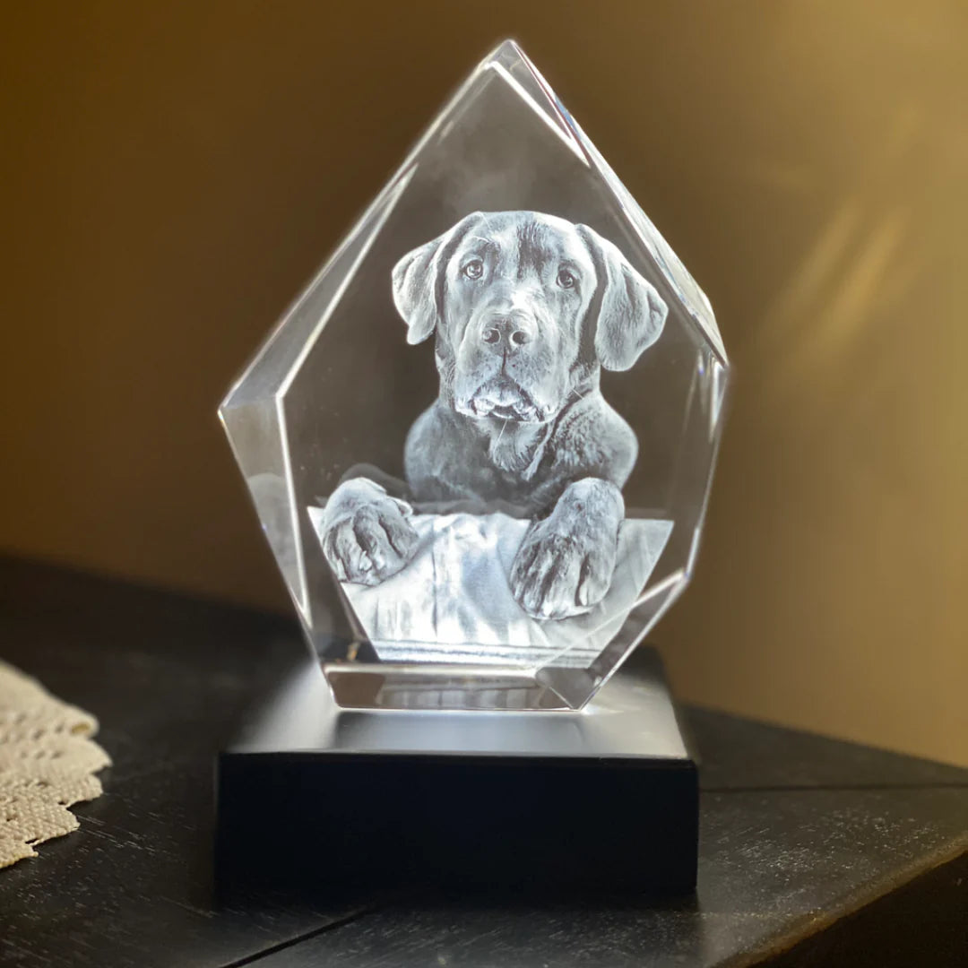 Personalisierte 2D/3D Edelsteinform Kristall Erinnerung mit Laser Gravur