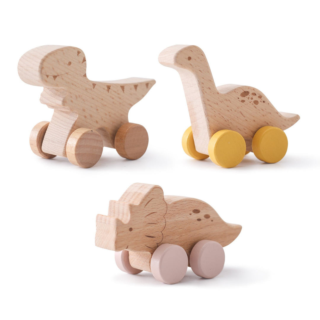 Montessori Holz Zug Pastelfarben
