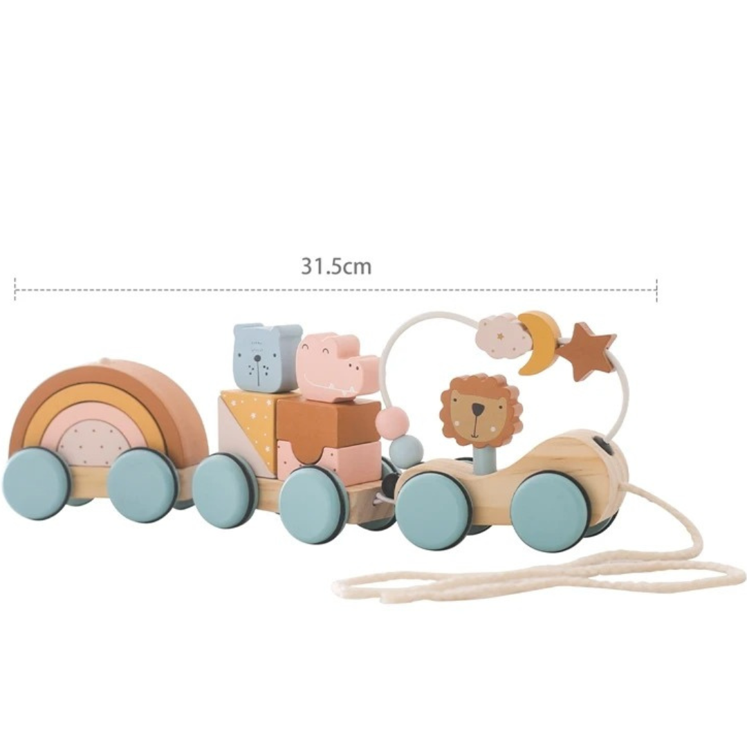 Montessori Holz Zug Pastelfarben