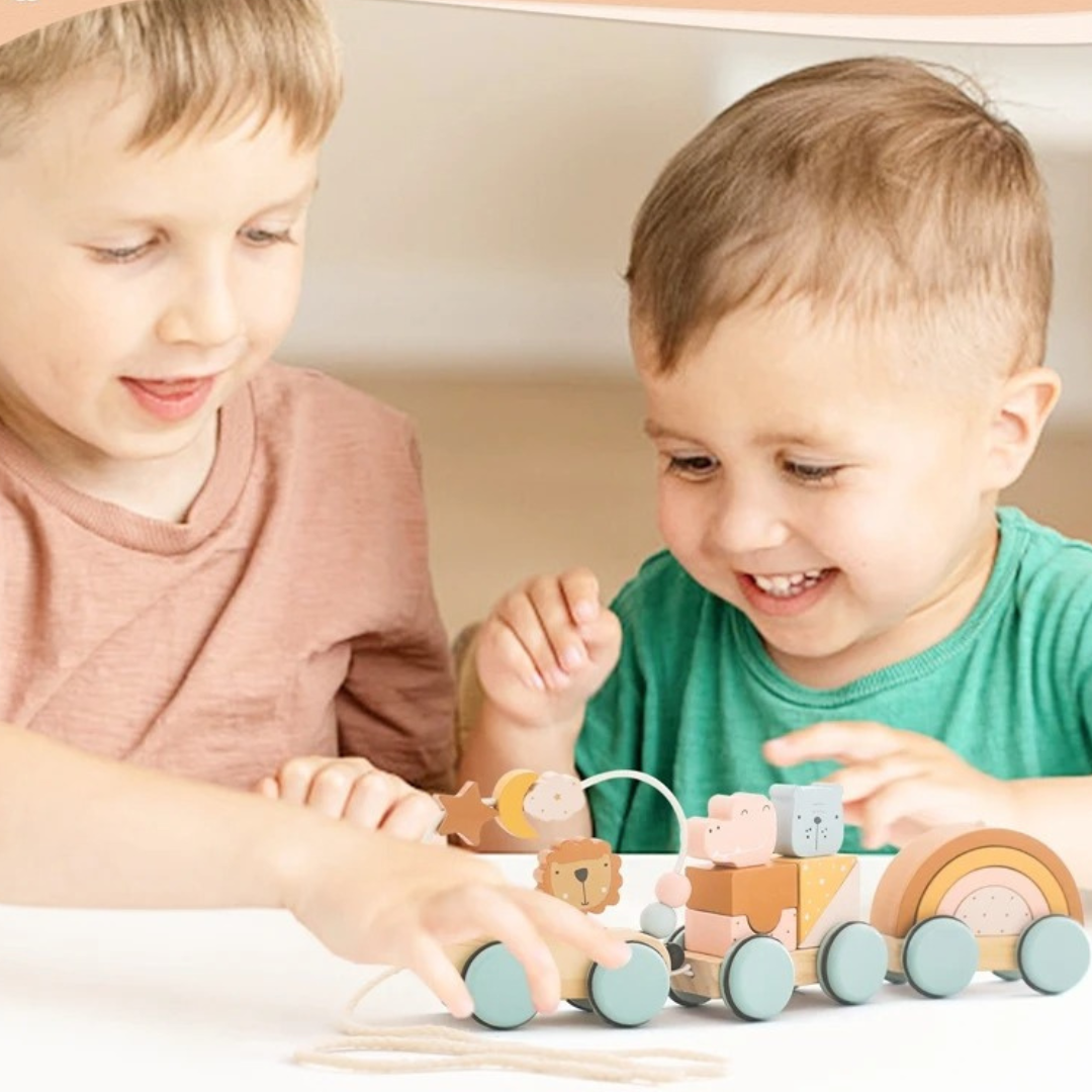 Montessori Holz Zug Pastelfarben