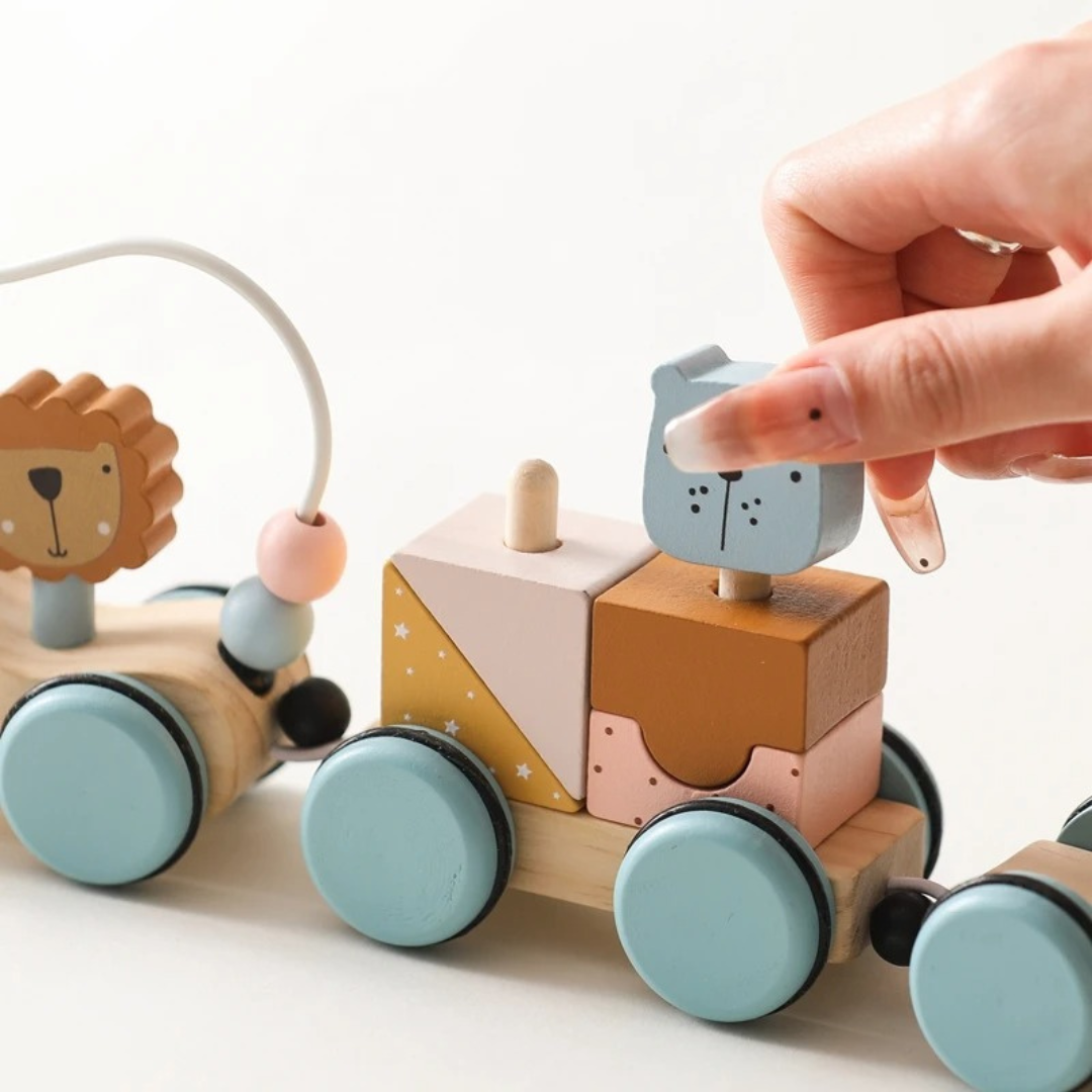 Montessori Holz Zug Pastelfarben