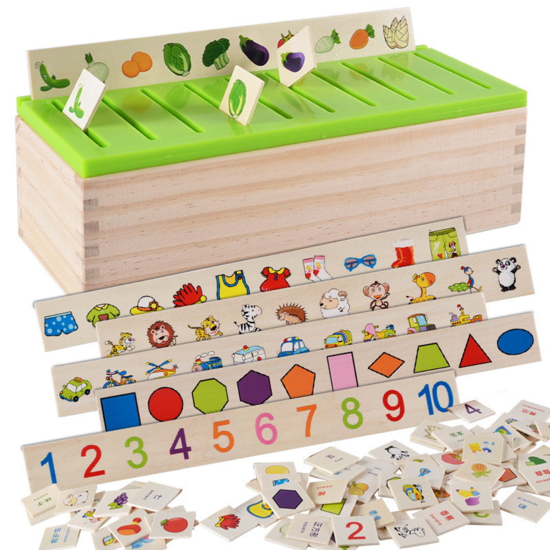 Montessori Holzbox zum Sortieren Lernen