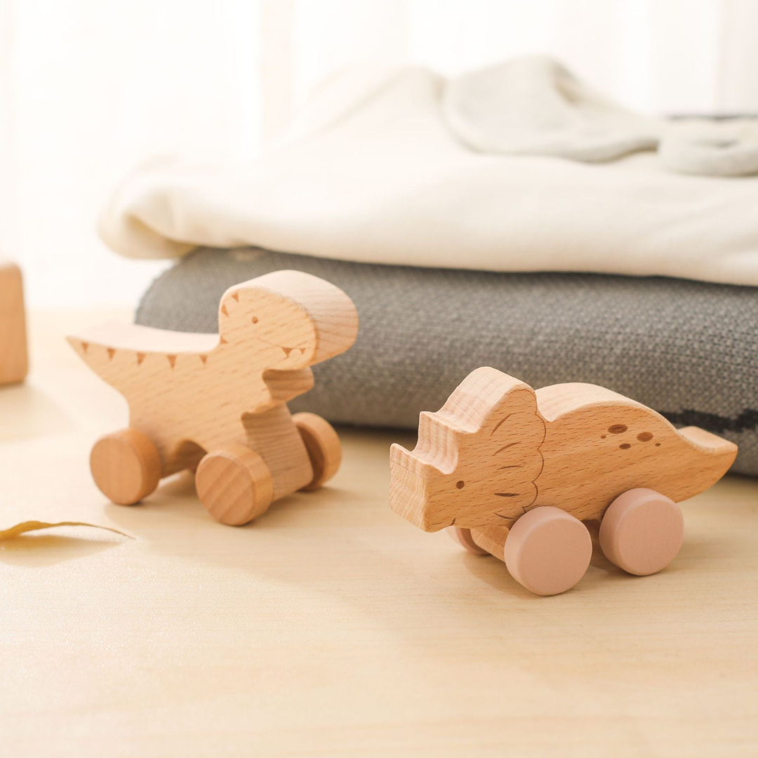 Montessori Holz Zug Pastelfarben