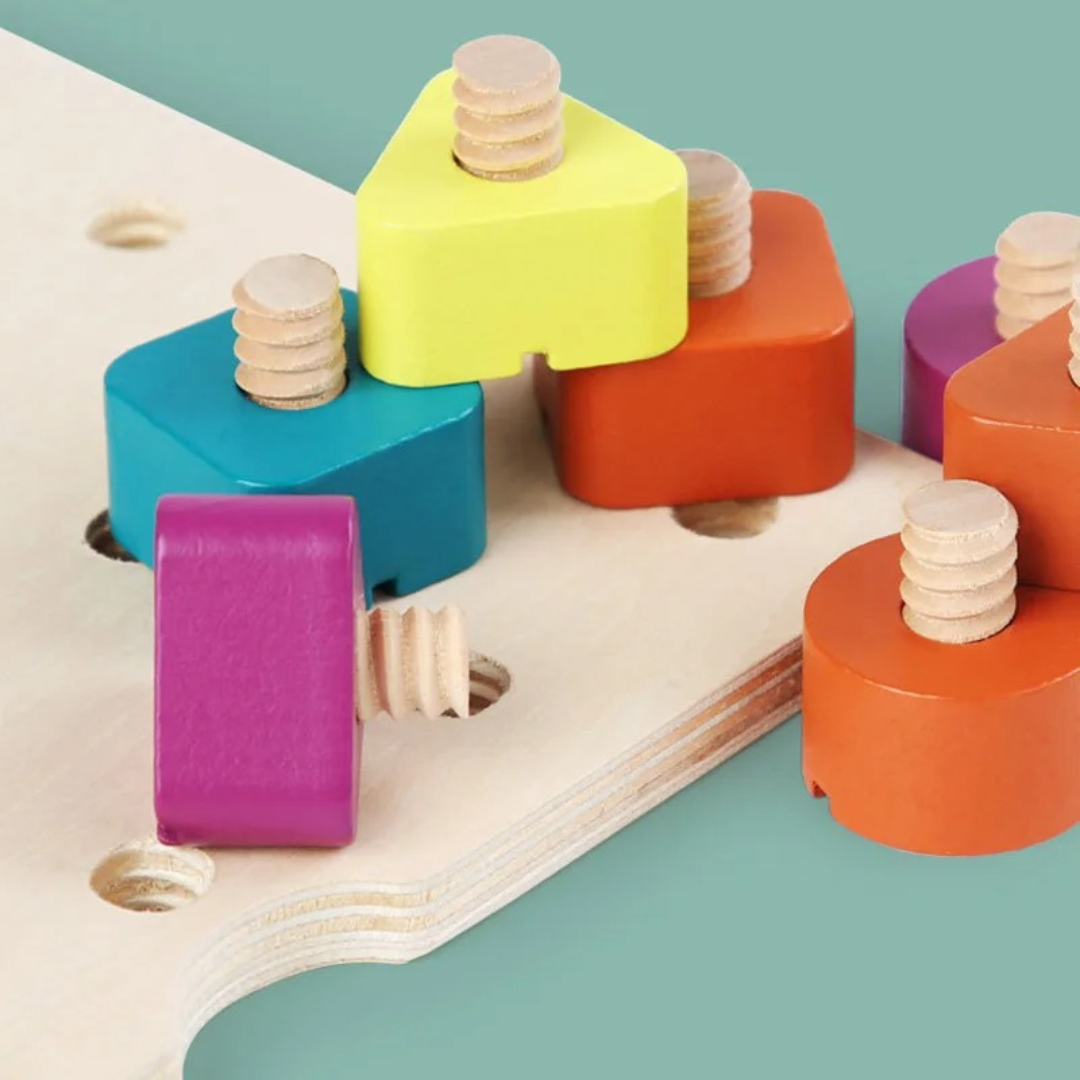 Montessori Schrauben- Holz- und Farbspielzeug