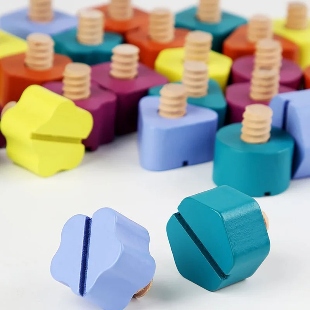 Montessori Schrauben- Holz- und Farbspielzeug
