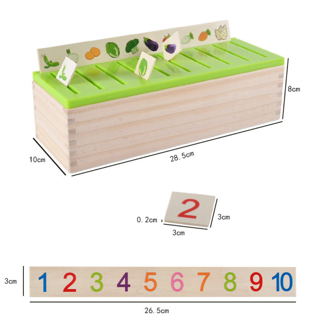 Montessori Holzbox zum Sortieren Lernen