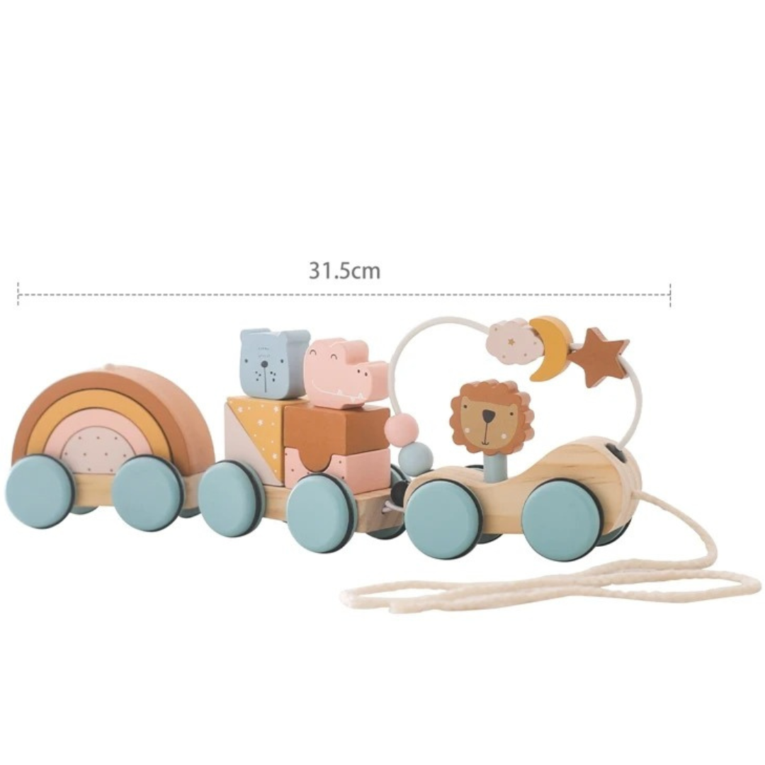 Montessori Holz Zug Pastelfarben