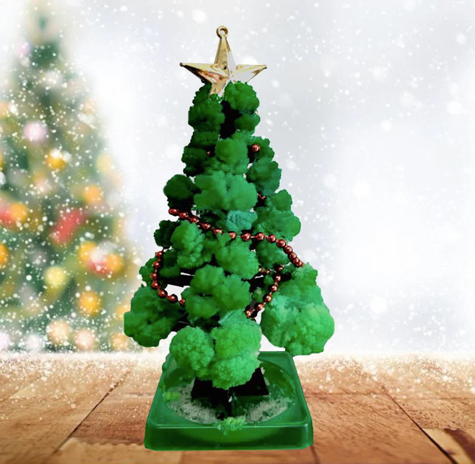 Mini-Weihnachtsbaum Anbauset – Züchte deinen eigenen Baum!