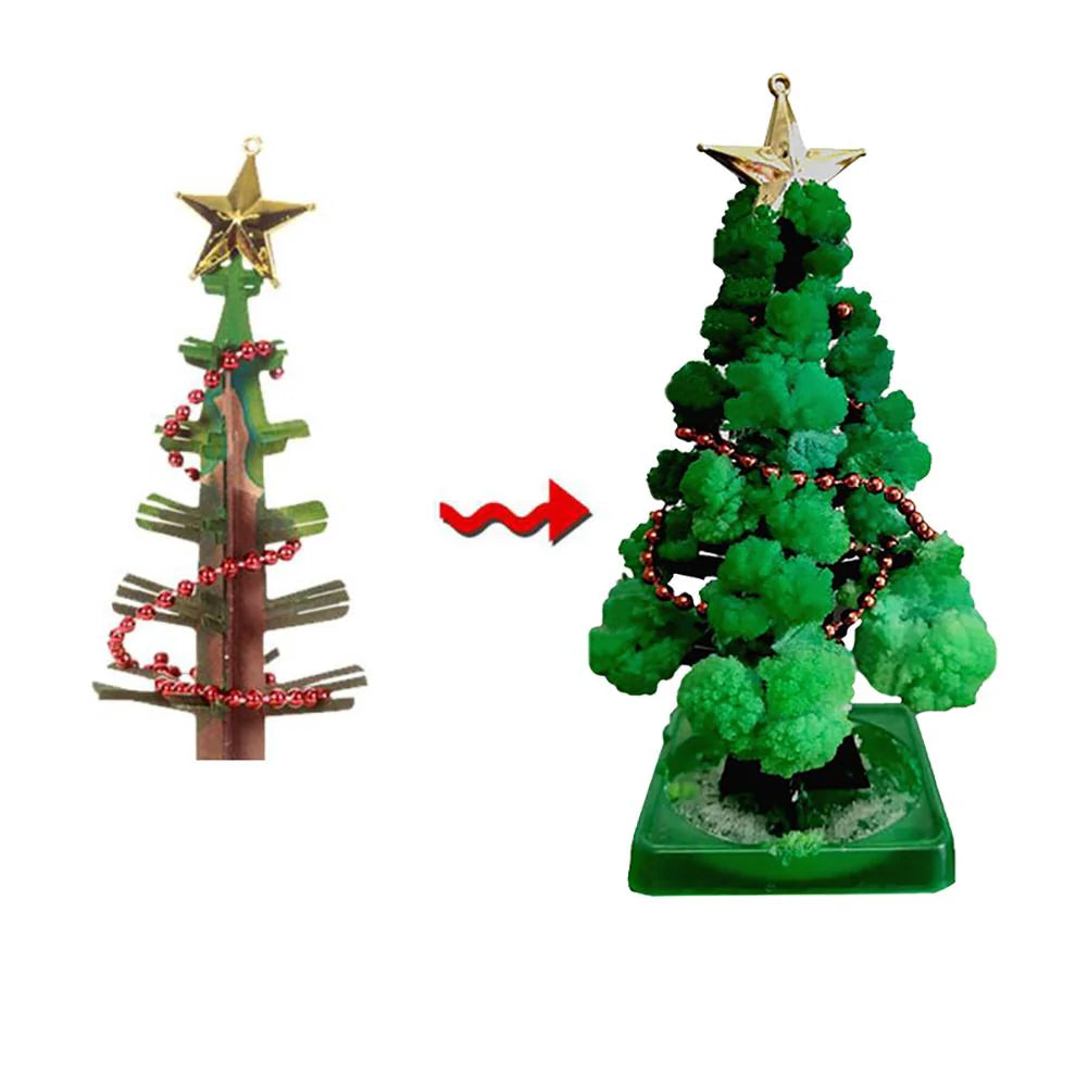 Mini-Weihnachtsbaum Anbauset – Züchte deinen eigenen Baum!