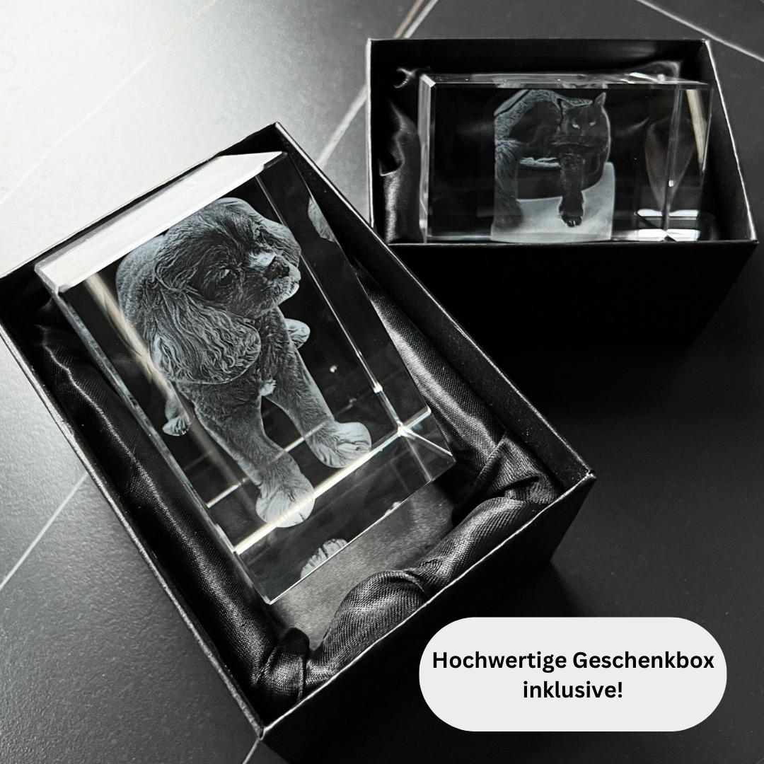 Personalisierter 2D/3D Kristall Würfel mit Laser Gravur