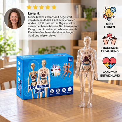 MINT-Lernset zur menschlichen Anatomie mit selbst zusammenbaubarem Organmodell