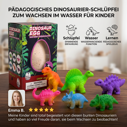 Pädagogisches Dinosaurier-Schlüpfei zum Wachsen im Wasser für Kinder