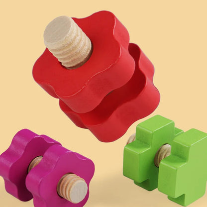 Montessroi Schrauben und Muttern Holzspielzeug