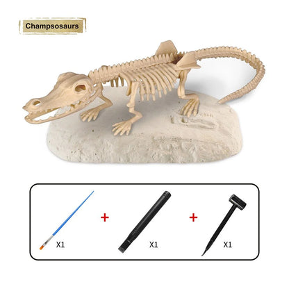 Grabe das Fossil aus - Grabungsset