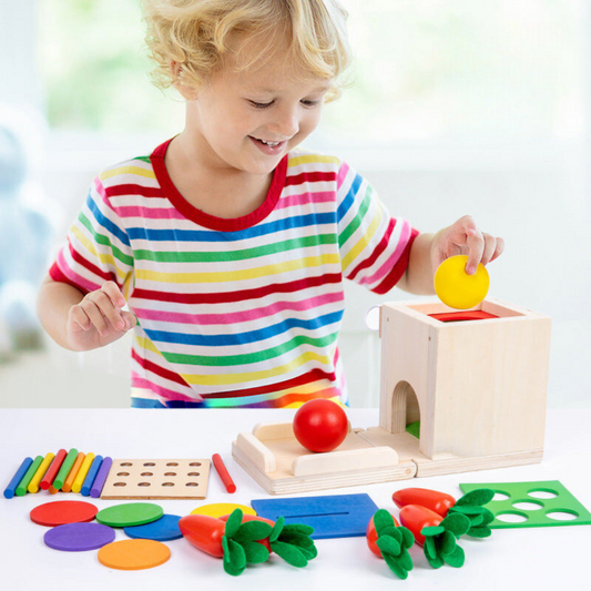 5in1 Montessori Lernspielzeug Set aus Holz