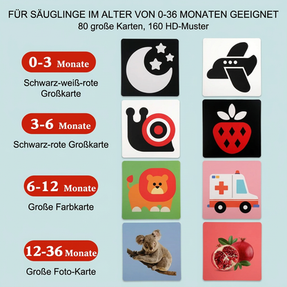 Montessori Lernkarten für Babys – Visuelle Stimulation, Farberkennung & Sortierset